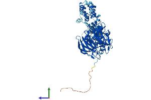 AlphaFold protein structure predicition of Mouse Recombinant Klhl3 Protein, UniprotID E0CZ16