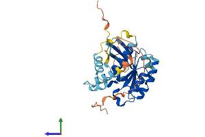 AlphaFold protein structure predicition of Human Recombinant RAB40C Protein, UniprotID Q96S21