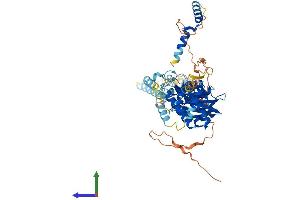 AlphaFold protein structure predicition of Mouse Recombinant Riok1 Protein, UniprotID Q922Q2