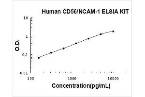 Neural Cell Adhesion Molecule 1 (NCAM1) ELISA Kit