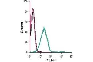 Cell surface detection of SVCT2 in live intact human Jurkat T-cell leukemia cells: (black line) Cells.