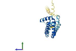 AlphaFold protein structure predicition of Human Recombinant RABAC1 Protein, UniprotID Q9UI14