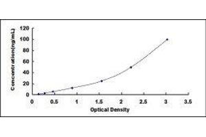Sirtuin 2 (SIRT2) ELISA Kit