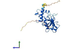 AlphaFold protein structure predicition of Human Recombinant TRPT1 Protein, UniprotID Q86TN4