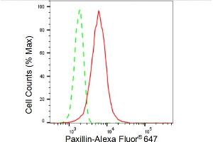 Flow cytometric analysis of Paxillin expression in HT- cells using Paxillin antibody (ABIN7799744), 1:2,000). (Recombinant Paxillin anticorps)