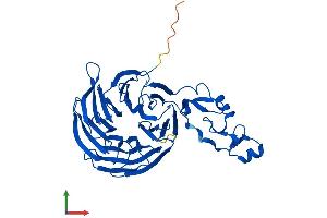 AlphaFold protein structure predicition of Human Recombinant WDFY2 Protein, UniprotID Q96P53