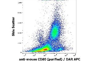 Flow cytometry surface staining pattern of murine peritoneal fluid cell suspension stained using anti-mouse CD80 (16-10A1) Purified antibody (concentration in sample 2 μg/mL). (CD80 anticorps)