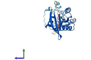 AlphaFold protein structure predicition of Human Recombinant RAB39B Protein, UniprotID Q96DA2