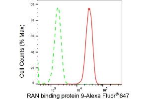 Flow cytometric analysis of RAN binding protein 9 expression in HepG2 cells using RAN binding protein 9 antibody (ABIN7799025), 1:2,000). (Recombinant Importin 9 anticorps)
