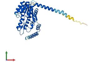 AlphaFold protein structure predicition of Human Recombinant DHRS7B Protein, UniprotID Q6IAN0