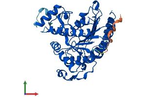 AlphaFold protein structure predicition of Human Recombinant HDAC8 Protein, UniprotID Q9BY41