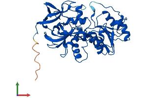 AlphaFold protein structure predicition of Human Recombinant ADH7 Protein, UniprotID P40394