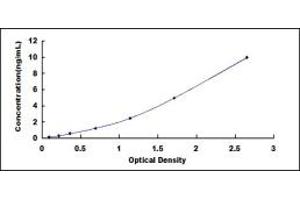 Procollagen II N-Terminal Propeptide (PIINP) ELISA Kit