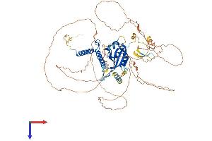 AlphaFold protein structure predicition of Mouse Recombinant Ahrr Protein, UniprotID Q3U1U7