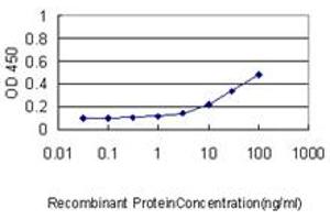 Detection limit for recombinant GST tagged BARX1 is approximately 0.