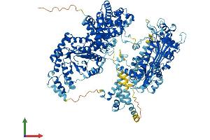 AlphaFold protein structure predicition of Human Recombinant MTR Protein, UniprotID Q99707