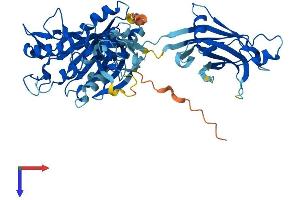 AlphaFold protein structure predicition of Human Recombinant CPNE6 Protein, UniprotID O95741