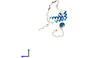 AlphaFold protein structure predicition of Human Recombinant DNAJC30 Protein, UniprotID Q96LL9