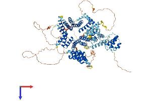 AlphaFold protein structure predicition of Mouse Recombinant Spag1 Protein, UniprotID Q80ZX8