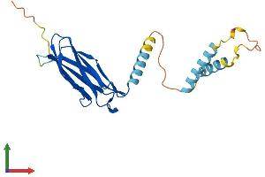 AlphaFold protein structure predicition of Mouse Recombinant Mospd1 Protein, UniprotID Q8VEL0