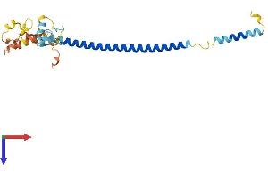 AlphaFold protein structure predicition of Human Recombinant RNF187 Protein, UniprotID Q5TA31