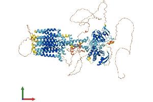 AlphaFold protein structure predicition of Human Recombinant ADCY9 Protein, UniprotID O60503