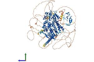 AlphaFold protein structure predicition of Mouse Recombinant Mtmr3 Protein, UniprotID Q8K296