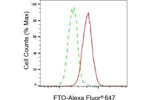 Flow cytometric analysis of FTO expression in HeLa cells using FTO antibody (ABIN7798579), 1:2,000). (FTO anticorps)