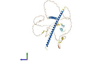 AlphaFold protein structure predicition of Human Recombinant TANK Protein, UniprotID Q92844