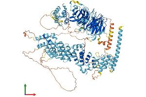 AlphaFold protein structure predicition of Human Recombinant HPS5 Protein, UniprotID Q9UPZ3
