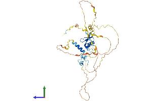 AlphaFold protein structure predicition of Human Recombinant SLC2A4RG Protein, UniprotID Q9NR83
