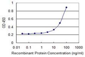 anti-Microvascular Endothelial Differentiation Gene 1 Protein (DNAJB9) (AA 114-223) antibody