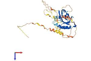 AlphaFold protein structure predicition of Human Recombinant REM2 Protein, UniprotID Q8IYK8
