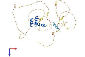AlphaFold protein structure predicition of Mouse Recombinant Evx1 Protein, UniprotID P23683