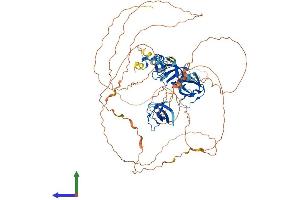 AlphaFold protein structure predicition of Mouse Recombinant Sh3rf2 Protein, UniprotID Q8BZT2