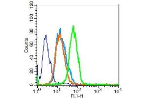 U251 cells probed with Survivin Polyclonal Antibody, Unconjugated  for 30 minutes followed by incubation with a conjugated secondary (FITC Conjugated) (green) for 30 minutes compared to control cells (blue), secondary only (light blue) and isotype control (orange).