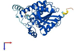 AlphaFold protein structure predicition of Mouse Recombinant Mgll Protein, UniprotID O35678
