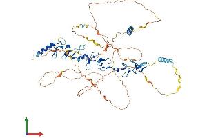 AlphaFold protein structure predicition of Mouse Recombinant Lpp Protein, UniprotID Q8BFW7