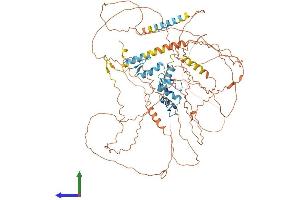 AlphaFold protein structure predicition of Human Recombinant ZNF148 Protein, UniprotID Q9UQR1