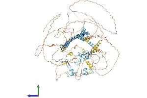 AlphaFold protein structure predicition of Human Recombinant ST18 Protein, UniprotID O60284