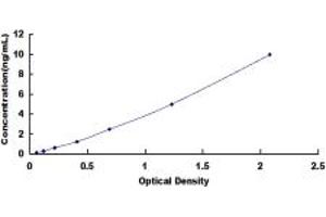 Typical standard curve (PLP2 Kit ELISA)