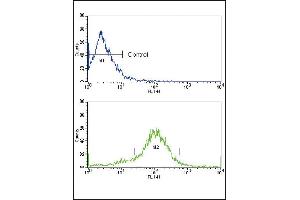Flow cytometric analysis of MCF-7 cells using RET Antibody (N-term Q28) (bottom histogram) compared to a negative control (top histogram).