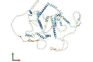 AlphaFold protein structure predicition of Mouse Recombinant Sart1 Protein, UniprotID Q9Z315