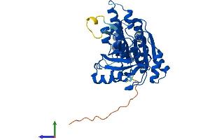 AlphaFold protein structure predicition of Human Recombinant DMC1 Protein, UniprotID Q14565