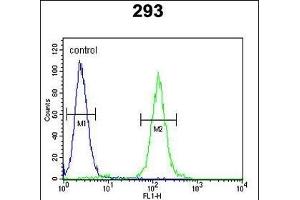 SUV4-20H2 Antibody (Center) (ABIN390405 and ABIN2840796) flow cytometric analysis of 293 cells (right histogram) compared to a negative control cell (left histogram). (SUV420H2/KMT5C anticorps  (AA 187-214))