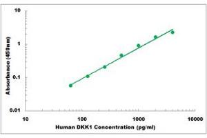 Representative Standard Curve (DKK1 Kit ELISA)