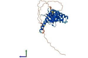 AlphaFold protein structure predicition of Mouse Recombinant Fkbpl Protein, UniprotID O35450