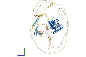AlphaFold protein structure predicition of Human Recombinant ARID3B Protein, UniprotID Q8IVW6