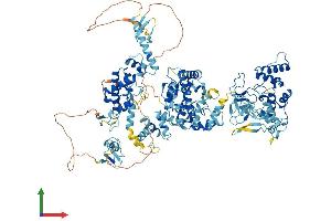 AlphaFold protein structure predicition of Mouse Recombinant Rnf31 Protein, UniprotID Q924T7