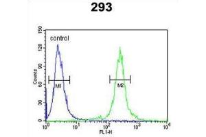 Flow Cytometry (FACS) image for anti-Transcription Elongation Regulator 1-Like (TCERG1L) antibody (ABIN3003948) (TCERG1L anticorps)